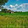 Scenic rural setting~
Near Vandalia, Michigan.