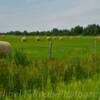 'Rare' Upper Peninsula Hayfield~
Near Brimley, Michigan.