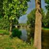 Saginaw Valley Rail Trail Bridge~
St Charles, Michigan.