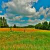 'Picturesque setting'
Near Fairbanks, MN.