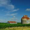 Typical southern Minnesota
scene.
Near Reading, MN.