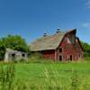 1940's horse barn & tool shed.
Near Okabena, MN.
