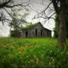 1905 settlers home.
Near Windom, MN.