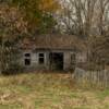 Long abandoned and hidden old modest farm house.
Redwood County.