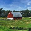 Another classic old red
quonset barn.