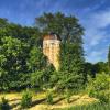 An eye-catching 
overgrown old silo.
Wright County.