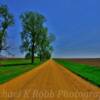 Southwest Minnesota scenery~
Rock County.