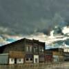 Ceylon, Minnesota.
After a May shower~