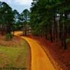 "Old Trace Road"
Passing under the
Natchez Trace Parkway