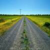 Lone Platte County
country road.
Near Farley, MO.