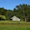 Another classic 
1930's shed barn.
Atchison County.