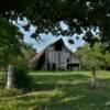 A framed in view of this
classic Cass County barn.