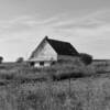 A black & white perspective 
of this old Bates County home.