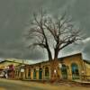 1890's businesses.
(south side of highway)
Virginia City, MT.