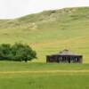 Ridge, Montana.
Ruins of an early ranch house.