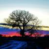 Sunset-near Winnett, Montana