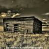 Horses corral-near Maxville, Montana