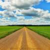 Eastern Montana's
Chalk Plains.
Carter County, MT.