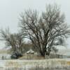 February snow storm~
Taken near Hershey, NE.