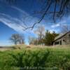 Abandoned early 1900's
homestead.
Webster County, NE.