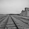 Old grain elevator.
Near Ruskin, NE.