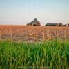 May evening in Cass County, NE.