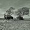 Old farm equipment storage garage & helping hand's shack.
Northern Lancaster County, NE.