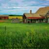 Early 1900's farm house remains-near Ord, Nebraska