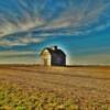 1950's style hay barn.
Near Elmwood, NE.