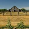 Another view of this classic
1930's stable barn.
Kimball County.