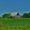 Classic 1940's stable barn.
Near Prague, NE.