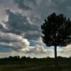 August storm descending 
on the western plains.
Lincoln County, NE.