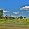 Spiker, NE 
Single-room schoolhouse.