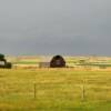 Another classic 1930's
Long barn.
Cheyenne County.