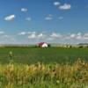 Picturesque red-roofed 
dell barn.
Kimball County.