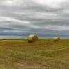 Another rolling hey field.
Kimball County.