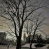 Another view of 
the First National Tower
through the trees.
Omaha.