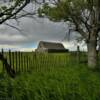 Another Kimball County barn.
North of Bushnell, NE.