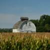 Classic old Cass County barn.
(submerged in the corn)