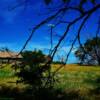 Western Nebraska Homestead-near Kimball