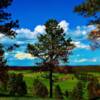 Nebraska National Forest-near Chadron, Nebraska