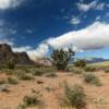 Red Rock Canyon.
Desert floor.