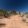 Another rugged desert road.
Red Rock Canyon.