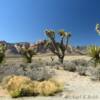 Rugged desert trail.
Red Rock Canyon.