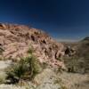 Lone ground palmetto.
Southern Calico's.
Red Rock Canyon.