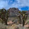 Another peek at the beautiful
Red Rock Canyon.