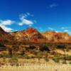 Spring Mountains-
near Beatty, Nevada.