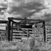 Typical Nevada ranch corral-
near Lamoille, Nevada.