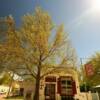 Hillsboro
General Store & Cafe.
(frontal view)