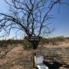 Hachita, NM.
"rest area"